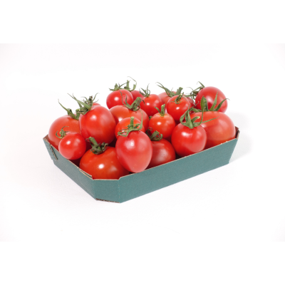 Tomatoes Vine