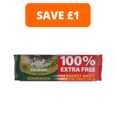 Extra Goodness Energy Balls