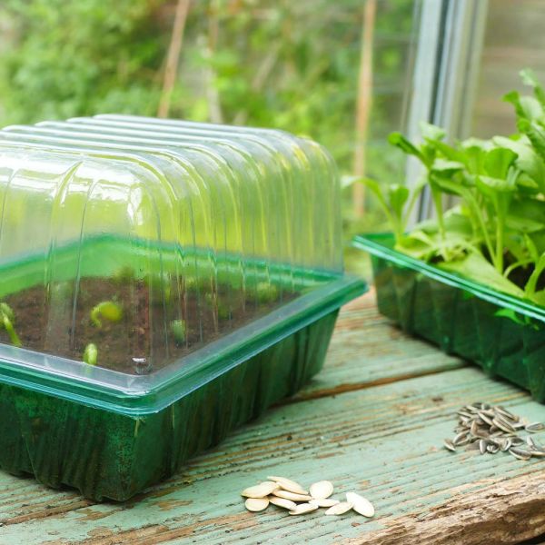 Gro-Sure Visiroot Seed Tray 4 pk