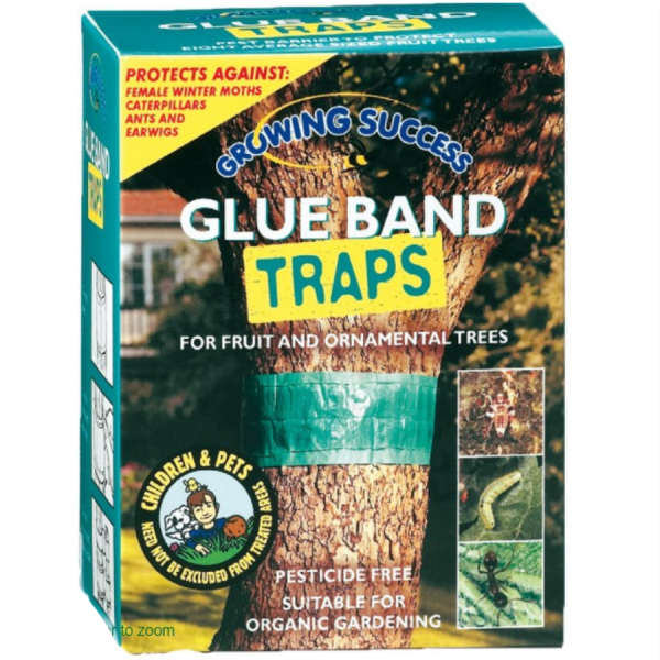 Glue Band Traps