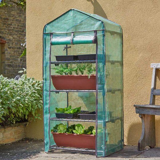 Classic 4 Tier GroZone Greenhouse