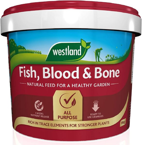 Fish, Blood & Bone- Bucket