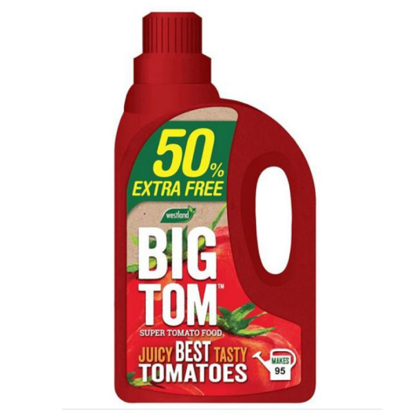 Super Tomato Food Concentrate - 50% Extra free