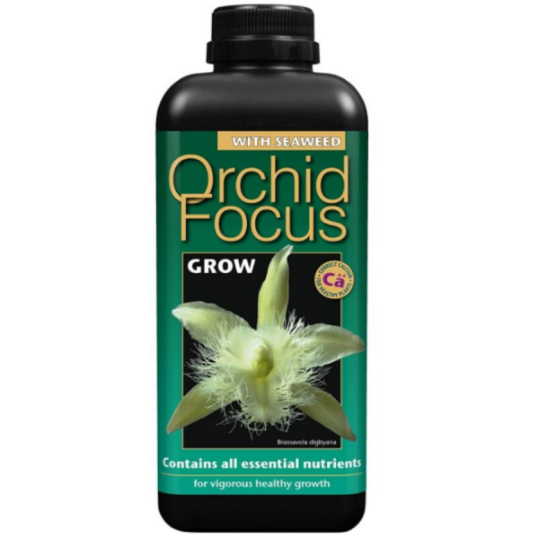 Orchid Focus Grow Liquid Food