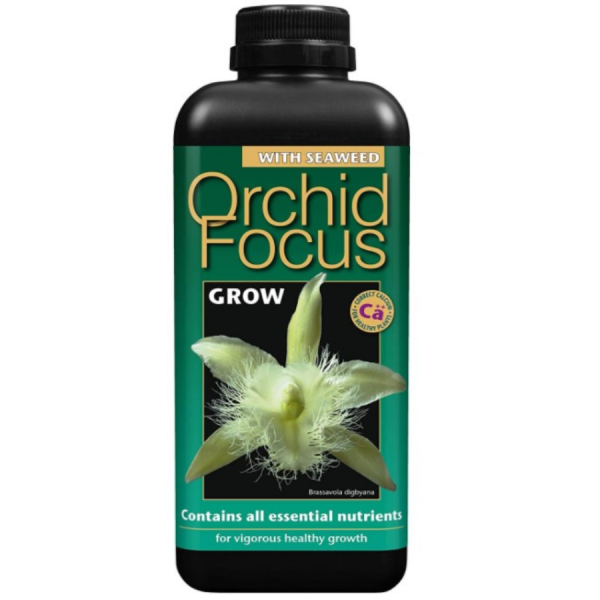 Orchid Focus Liquiid Food