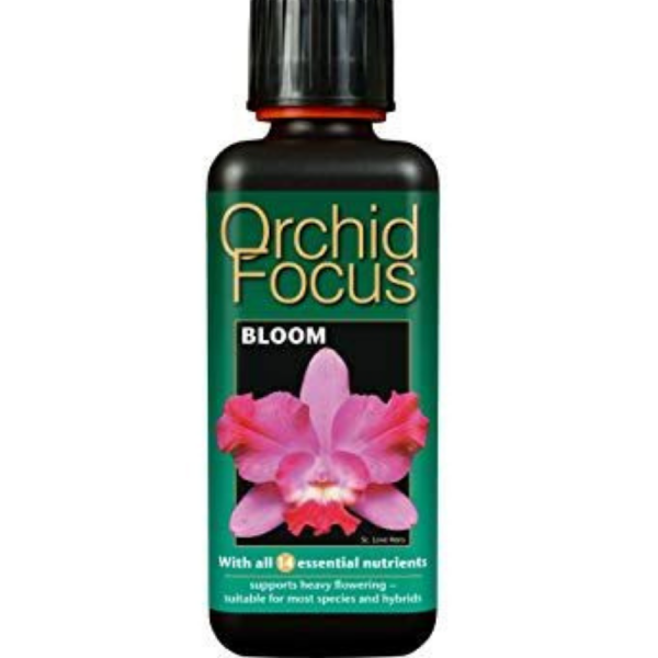 Orchid Focus BLOOM Liquid Food