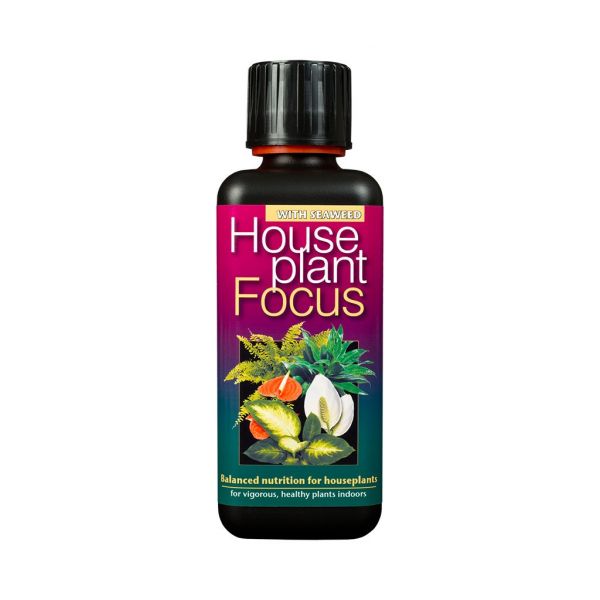 Houseplant Focus Liquid Food