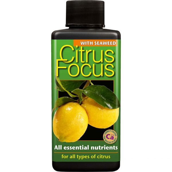 Citrus Focus Liquid Food