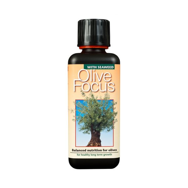 Olive Focus Liquid Food