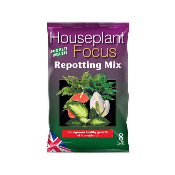 House Plant Focus repotting Mix