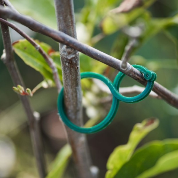 Twisty Plant Rings