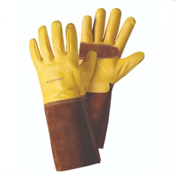 Ultimate Golden Leather Gauntlets