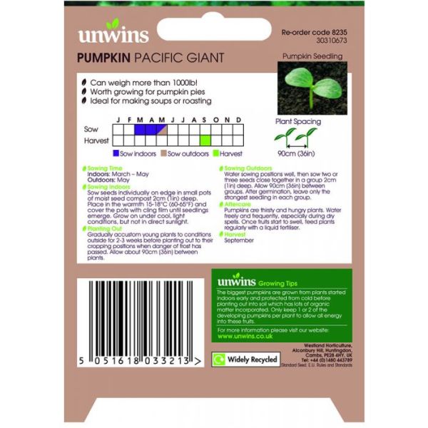 Unwins  Pacific Giant Pumpkin Seeds