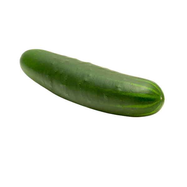 Cucumber