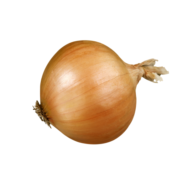 Onion English