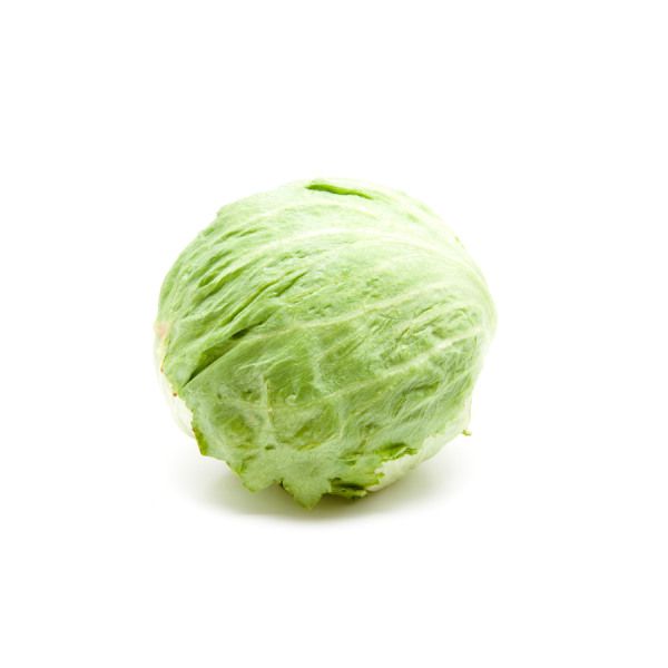 Iceberg Lettuce