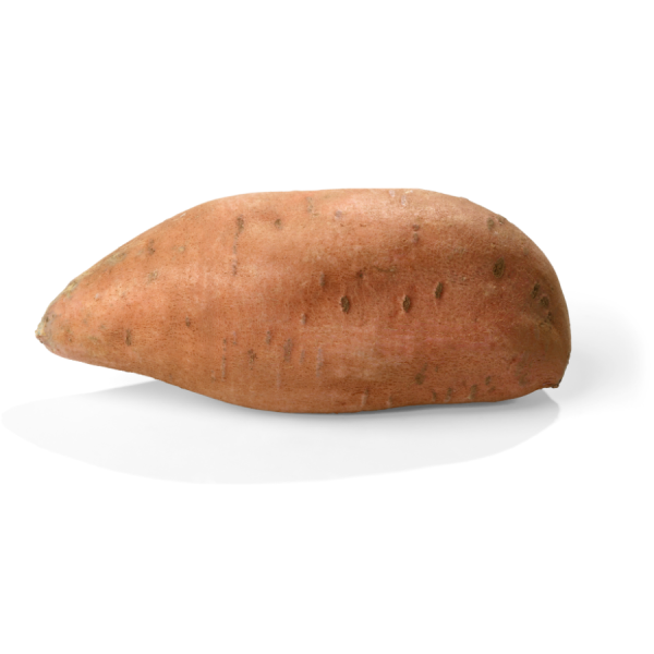 Sweet Potato