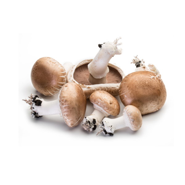 Button Mushrooms