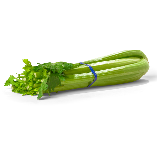 Celery