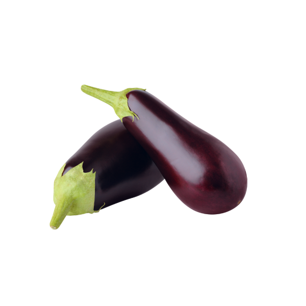 Aubergine