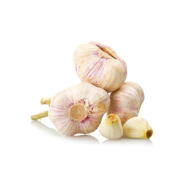 Fresh Garlic - Large White Iberian Bulb