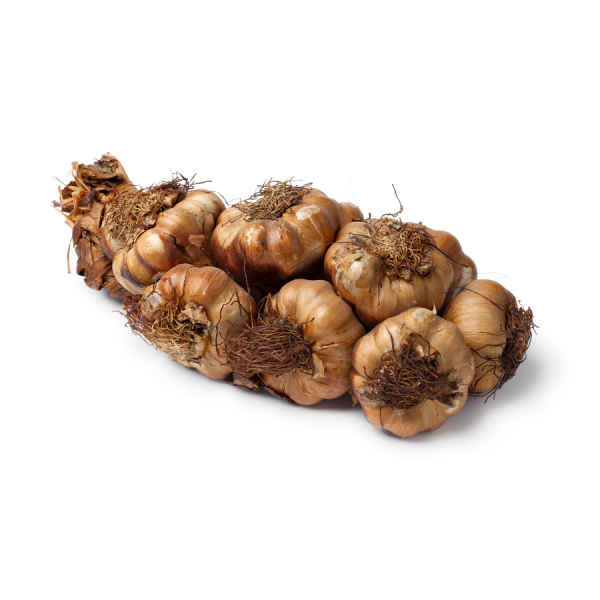 Fresh Garlic - Smoked Garlic Large Bulb