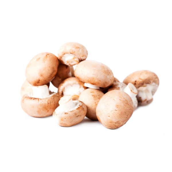 Mushrooms Chestnut