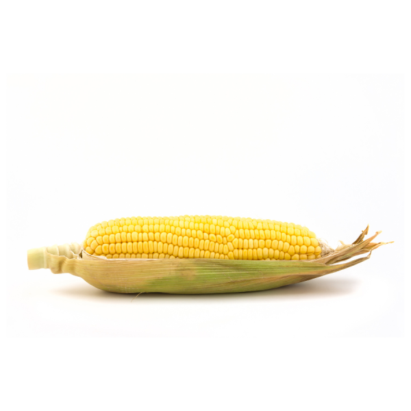 Sweet Corn