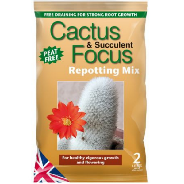 Cactus and Succulent Focus Repotting Mix