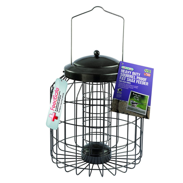 Squirrel Proof Seed Feeder