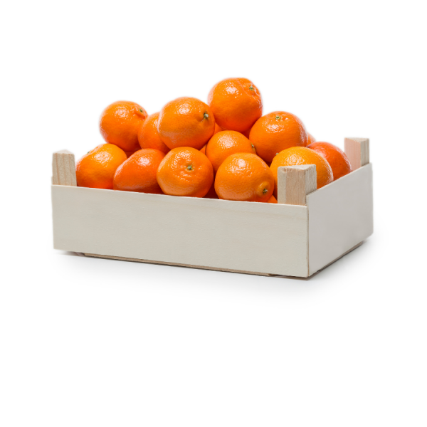Clementines Mini Crate