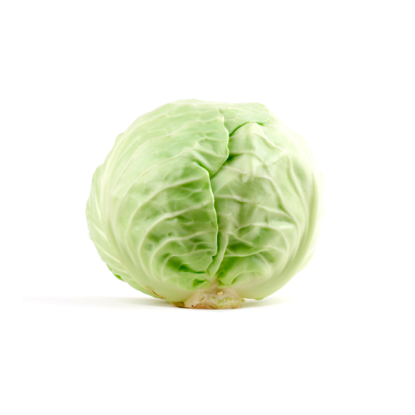 White Cabbage