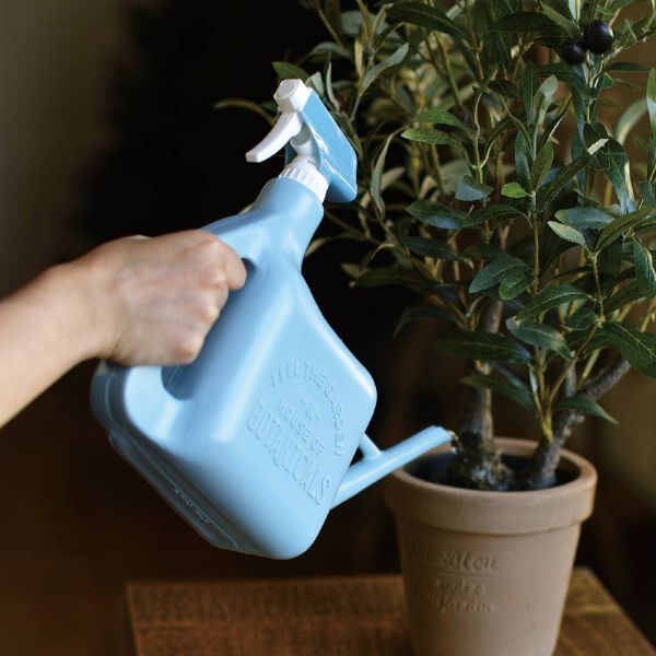 Time Concept Houseplant Sprayer Can - Blue
