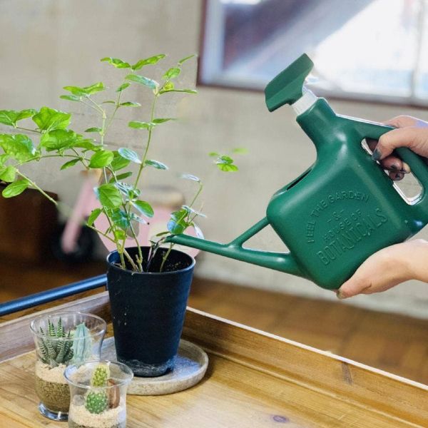 Time Concept Houseplant Sprayer Can - Green