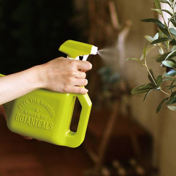 Time Concept Houseplant Sprayer Can - Lime Green