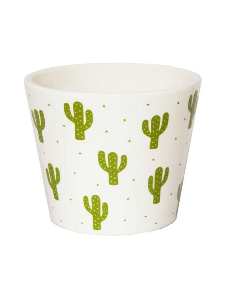 Desert Cacti Green Houseplant Pot 10cm x 10cm