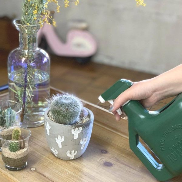 Time Concept Houseplant Sprayer Can - Green