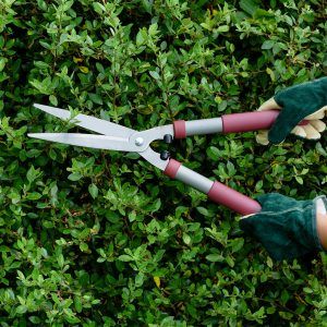 Kent & Stowe Garden Life Hedge Sheers