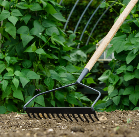 Kent & Stowe Carbon Steel Long Handled Soil Rake