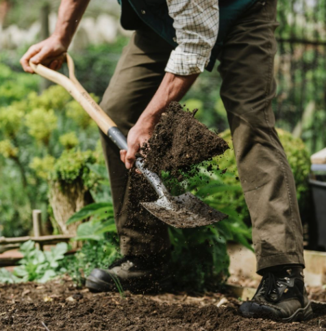 Kent & stowe border fork sale
