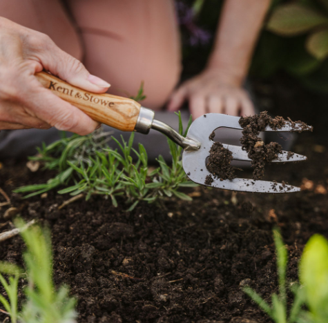 Kent & Stowe Garden Life Stainless Steel Hand Fork