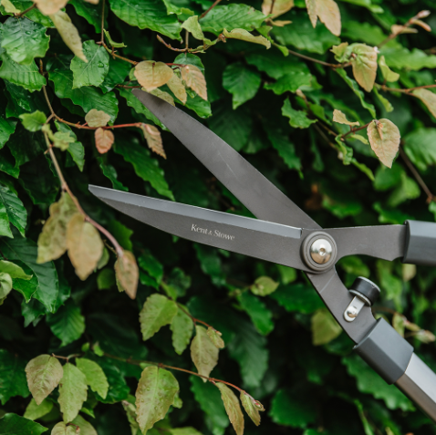 Kent & Stowe General Purpose Hedge Shears