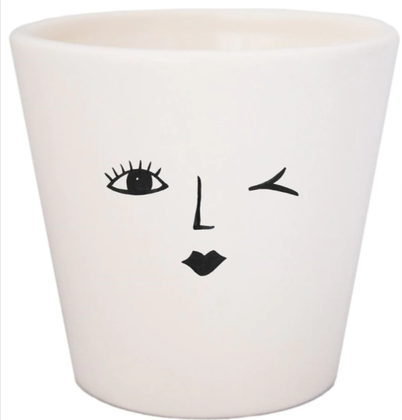 Face planter cheeky House Plant Pot 7cm x 7cm