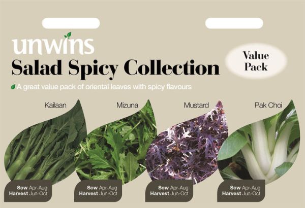 Unwins Salad Spicy Collection Pack - Seeds