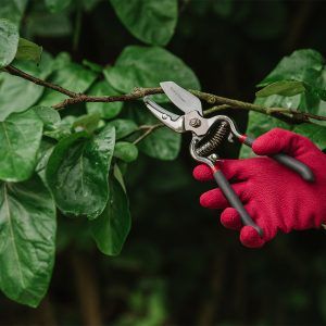 Kent & Stowe Traditional Anvil Secateurs