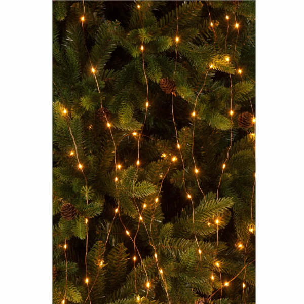 Twinkling Branch Light