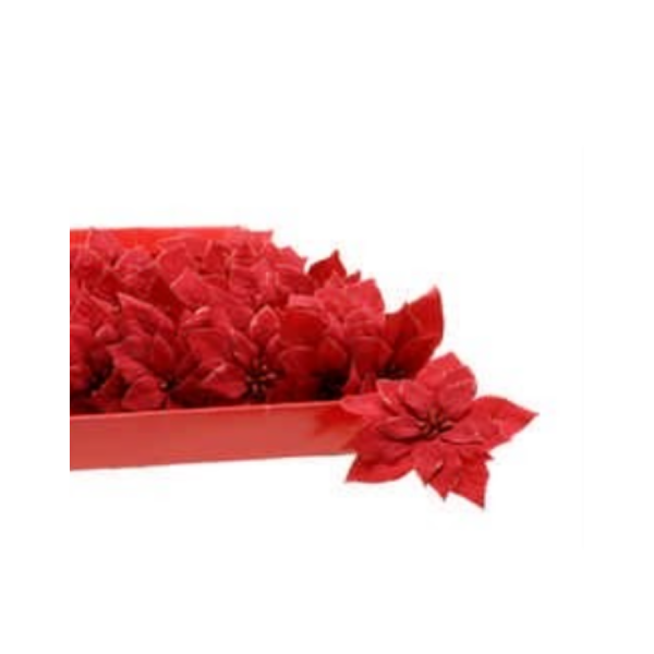 Red Velvet Clip poinsettia