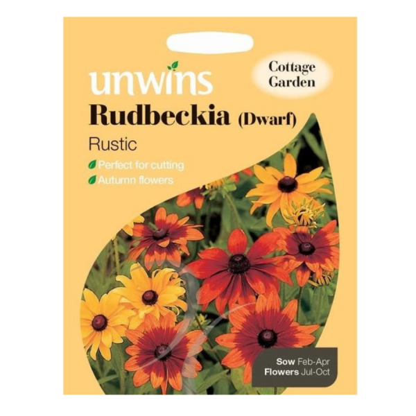 Rudbeckia Dwarf Rustic