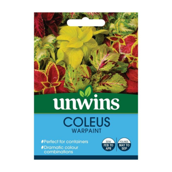 Coleus Warpaint