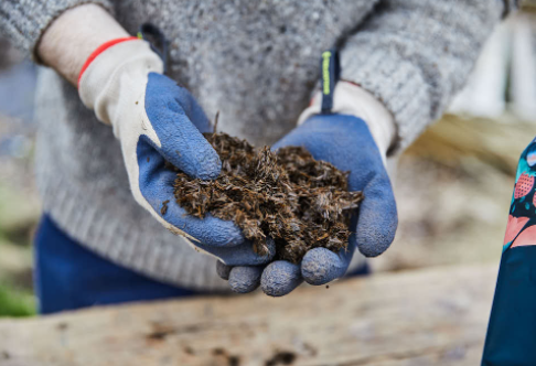 The Rise in Peat-Free Compost. Why are more people choosing this alternative?